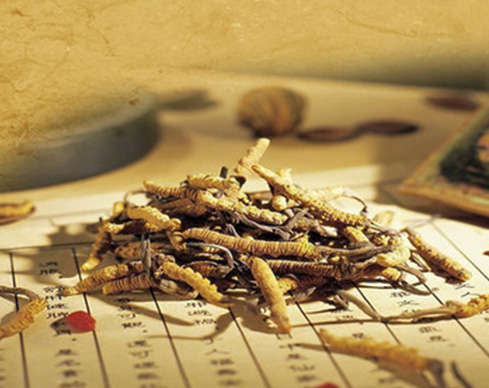 啟風(fēng)水旋塔三級(jí)過(guò)濾